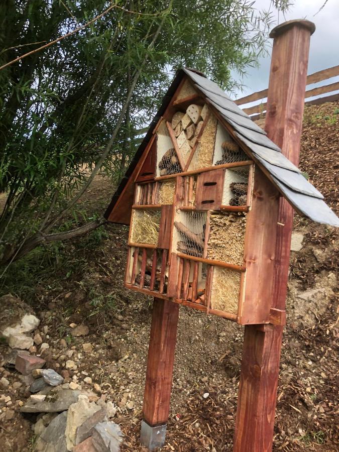 Ferienhaus Chilllout Chalets Daun-Kradenbach Eksteriør billede
